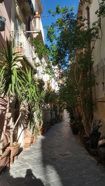 Calafatari Syracuse