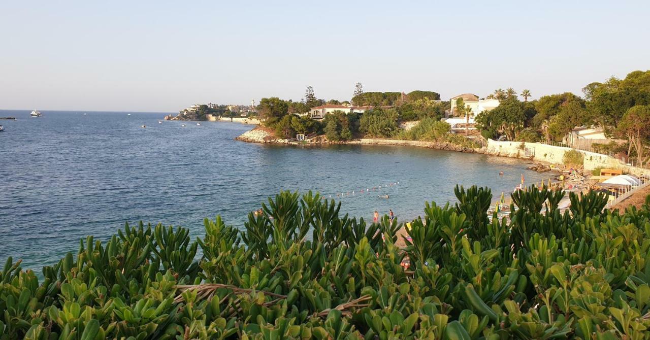 Calafatari